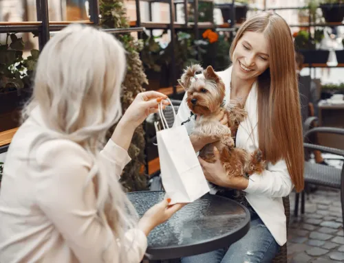 Best Dog-Friendly Patios in Austin for Coffee, Brunch and Drinks