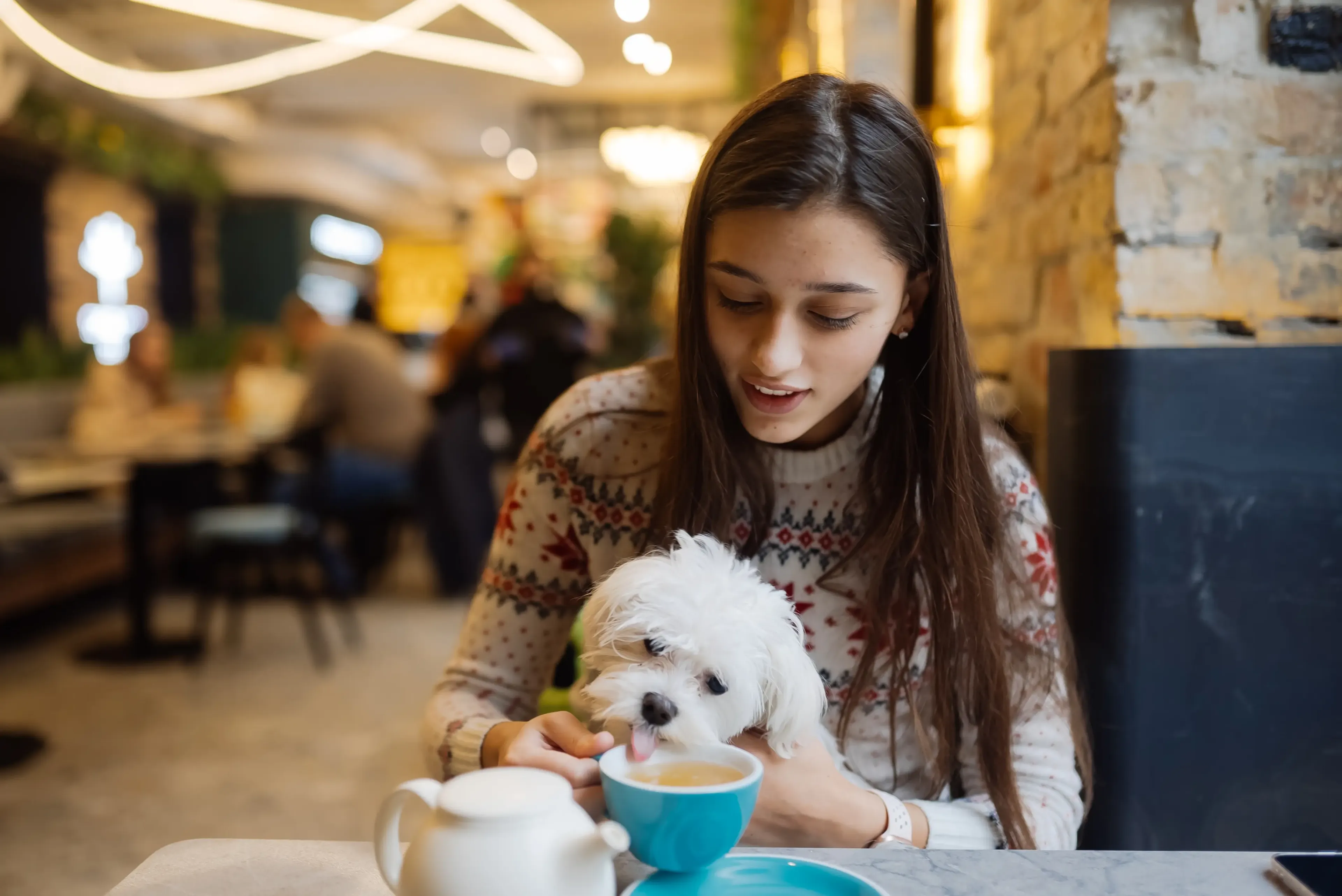 dog-friendly patios in Austin
