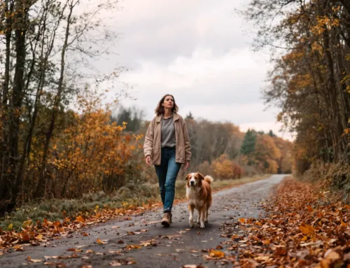 How Much Exercise Does Your Dog Really Need? (By Age, Breed & Lifestyle)