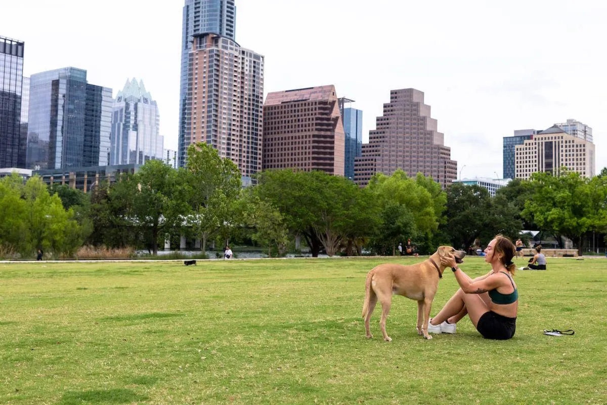 Moving to Austin With a Dog Everything You Need to Know